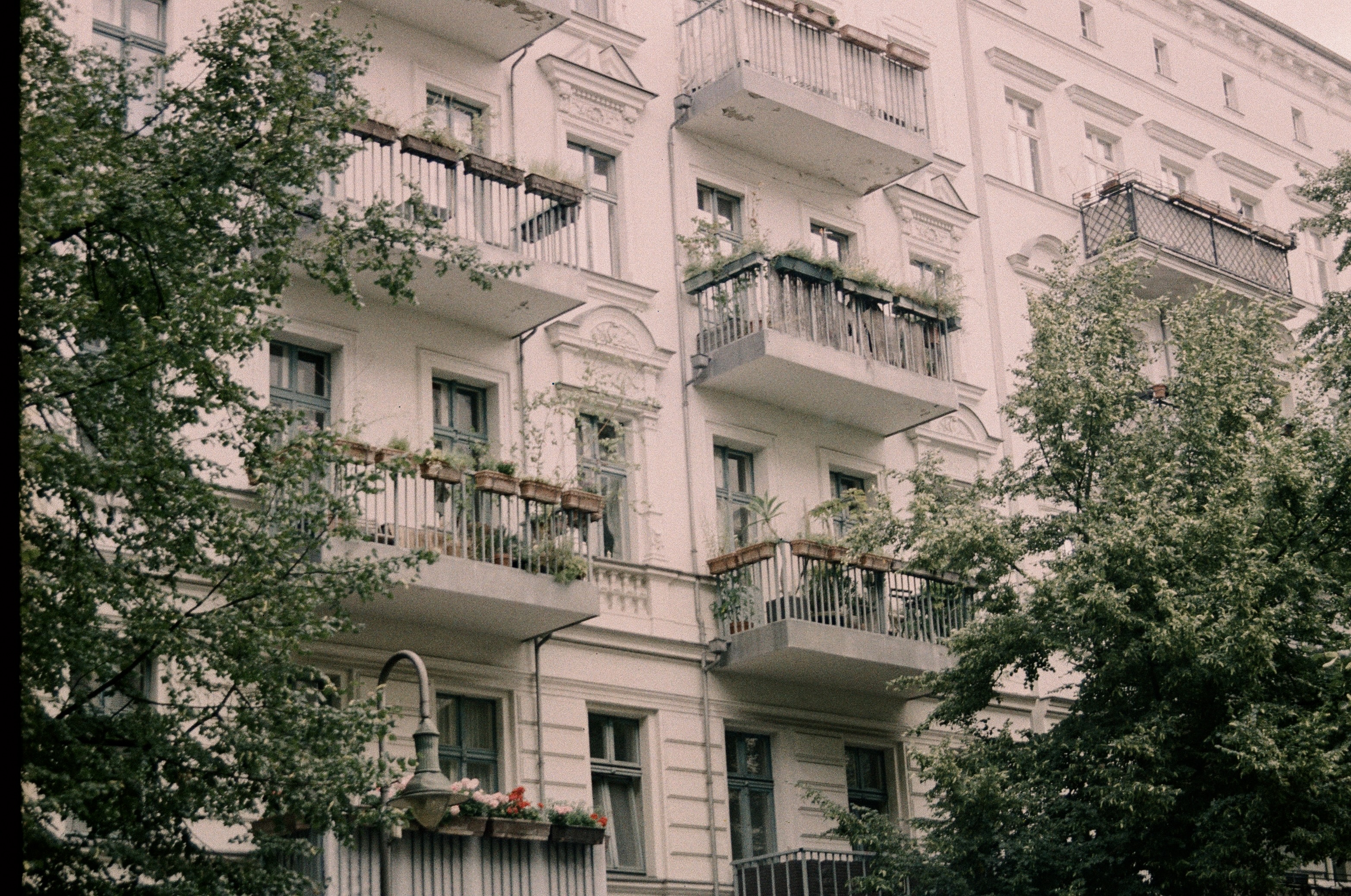 Analogue photo