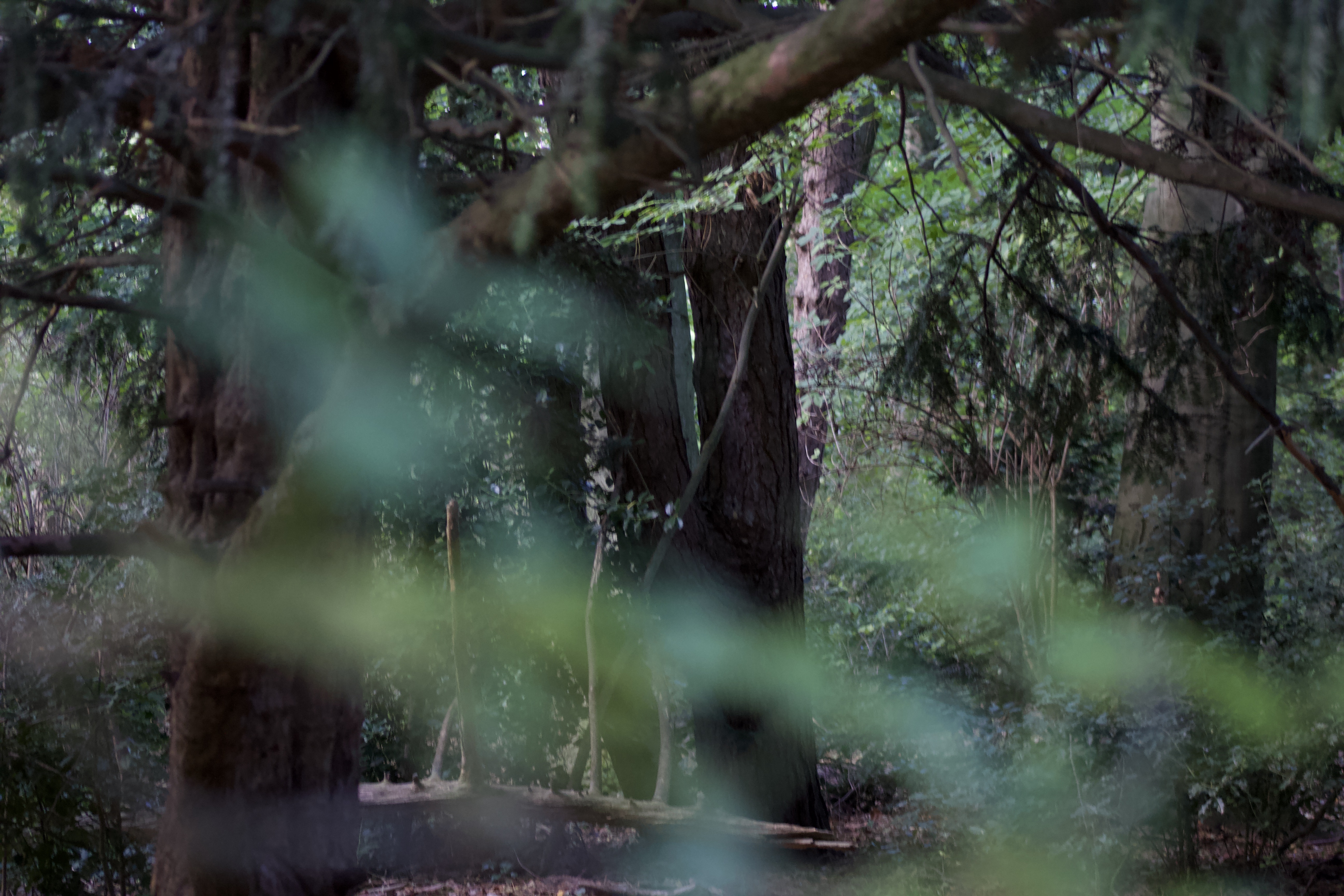 AMFI photo 6